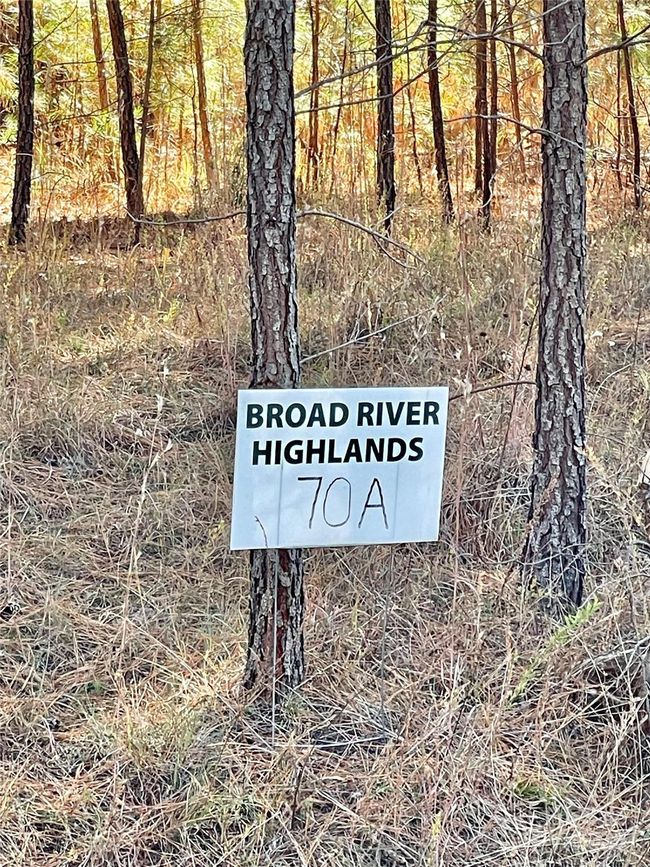 Lot 70A on Whispering Pines Lane. (No for sale SIGN per HOA) | Image 9