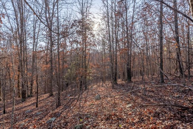 23 Acres011 | Image 13