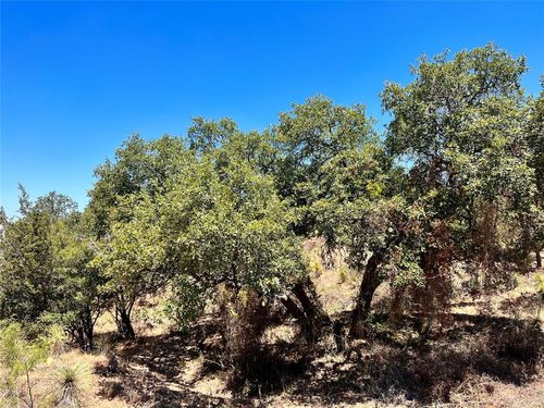 320 Tbd W. Castlebriar Drive, Granite Shoals, TX, 78654 | Card Image