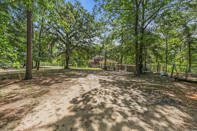 View of yard | Image 17
