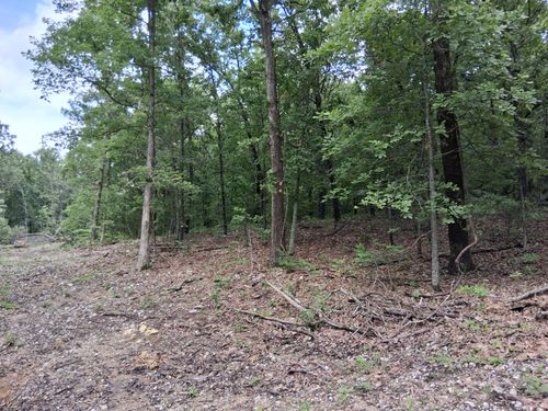 Tbd County Road 350, Dora, MO, 65637 | Card Image