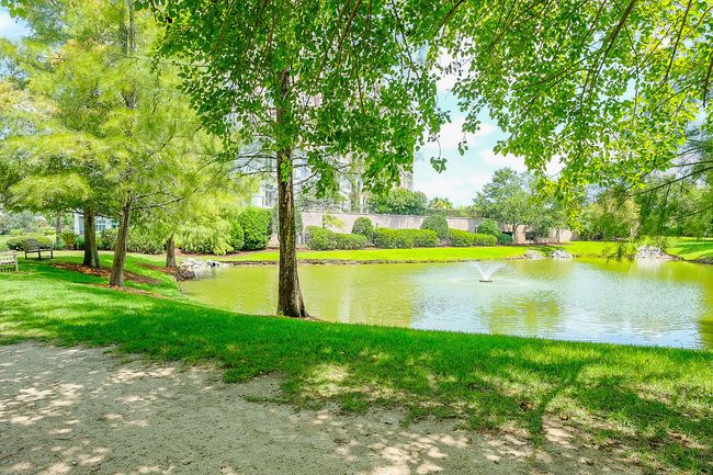 Renaissance grounds | Image 42