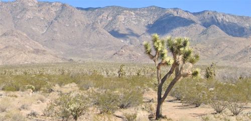 5 W Paiute Drive, Meadview, AZ, 86444 | Card Image