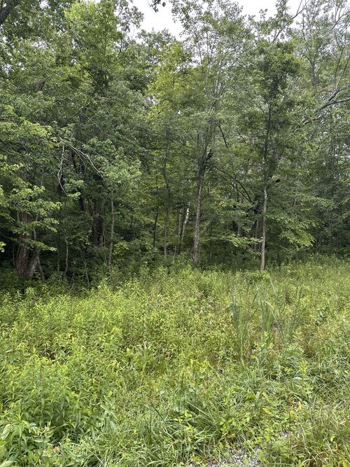 3119 Crow Dr, Crossville, TN, 38572 | Card Image