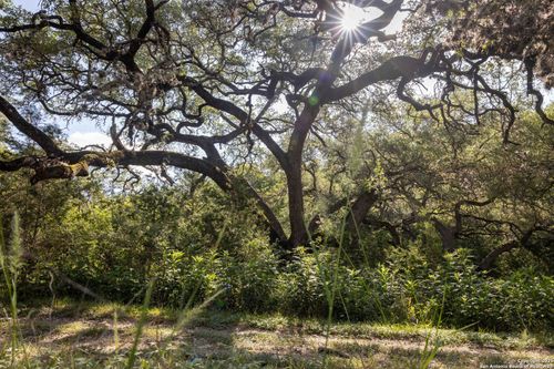 7622 Ramble Rdg, San Antonio, TX, 78266-2961 | Card Image