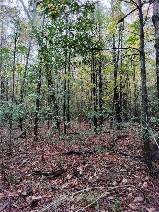 59735 Monroe Creek Rd, House other with 3 bedrooms, 2 bathrooms and null parking in Angie LA | Image 26