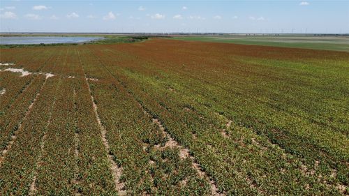 359 Cr 164, No City, TX, 79521 | Card Image