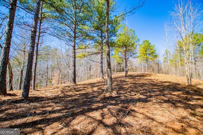 0 County Road 269, Home with 0 bedrooms, 0 bathrooms and null parking in Wedowee AL | Image 13