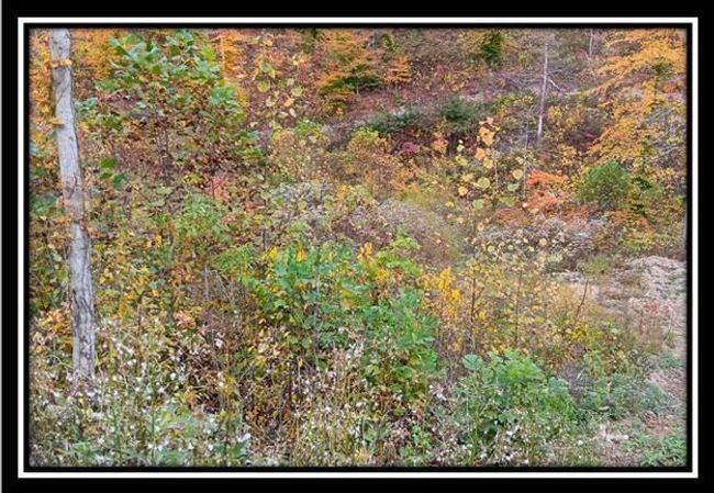 TRACT-1 - 34482 Huston Rd, Home with 0 bedrooms, 0 bathrooms and null parking in Radcliff OH | Image 29
