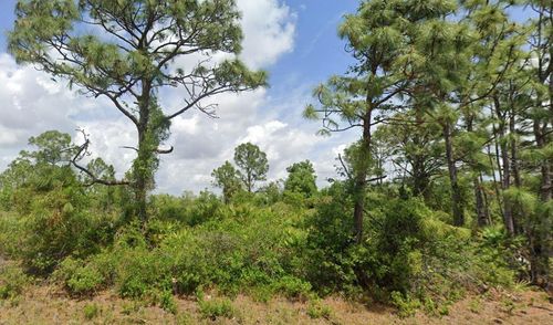 12118 Strett Ave, Port Charlotte, FL, 33981-1433 | Card Image