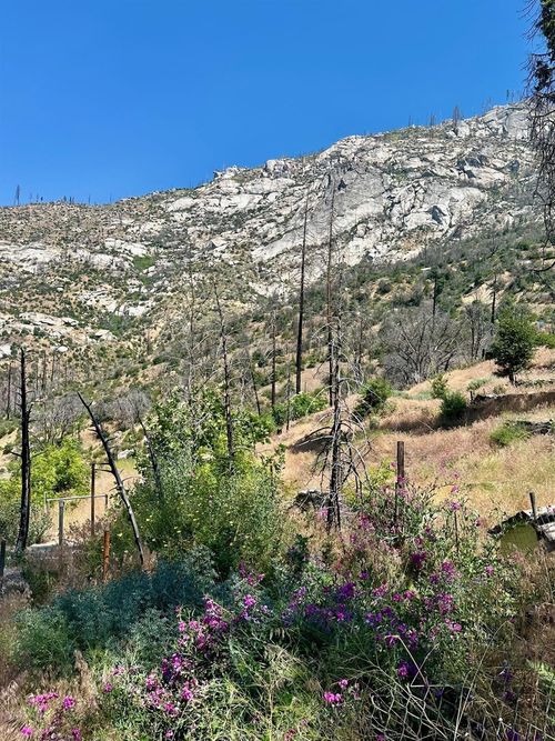 55178 Huntington Lake Rd, Shaver Lake, CA, 93664 | Card Image