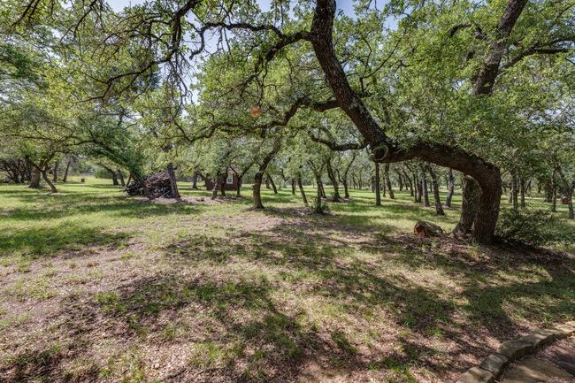 If you love nature, you will love this yard with so many trees! | Image 34
