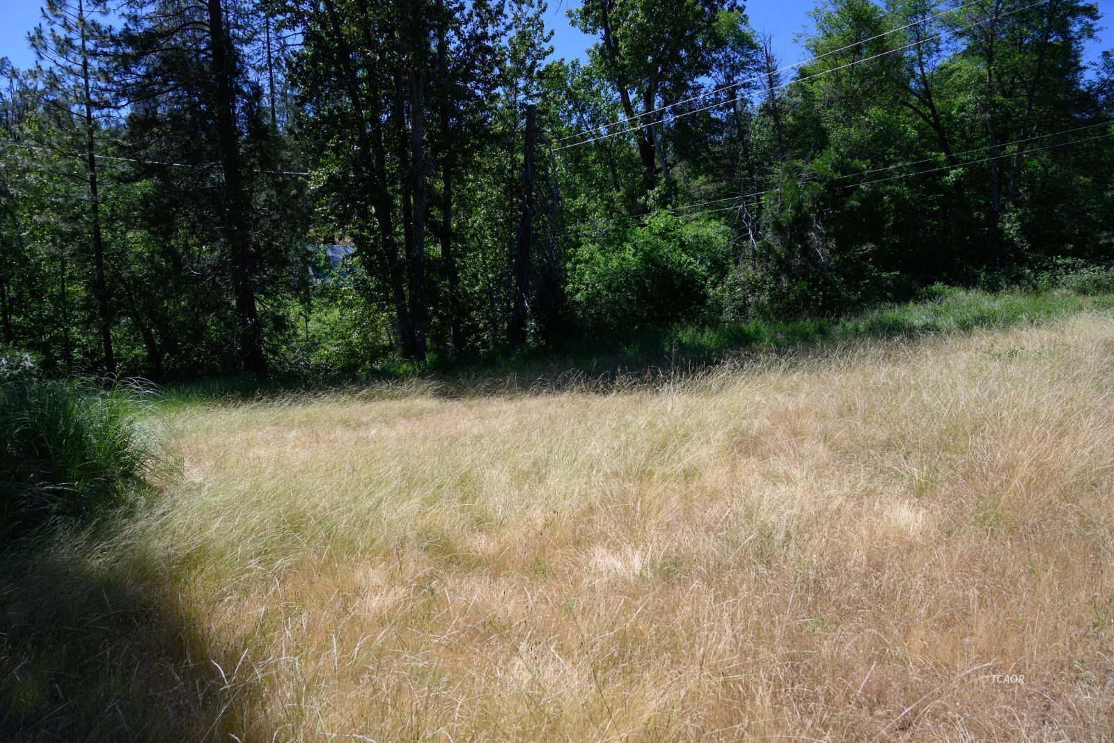 Residential in Weaverville 5