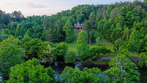 661 Toccoa River Frst, Mineral Bluff, GA, 30559 | Card Image