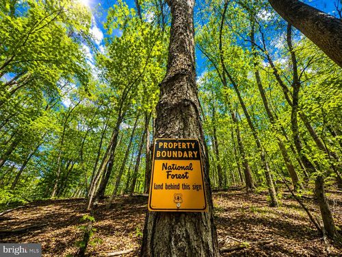 TBD Staunton Parkersburg Tpke, Durbin, WV, 26264 | Card Image