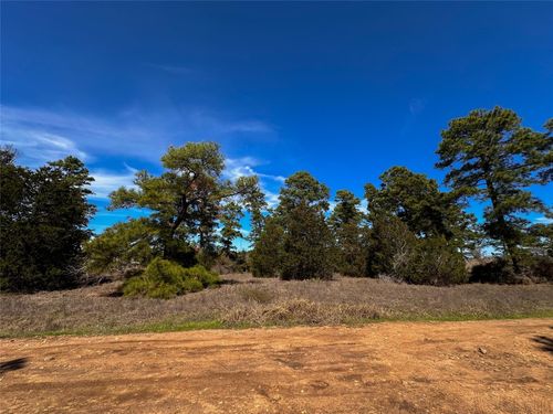 3 Winding Pine Dr, Bastrop, TX, 78602 | Card Image