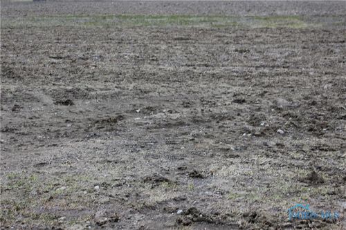 0 Patterson St, Forest, OH, 45843 | Card Image