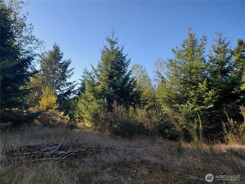 0 Lot 7 Buck Dr, Randle, WA, 98377 | Card Image