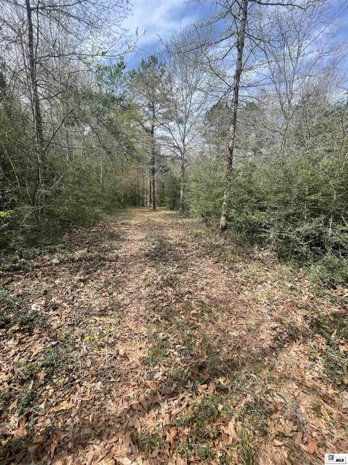 0 Lakeshore Dr, Chatham, LA, 71226 | Card Image