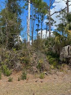 Other in North Port 2