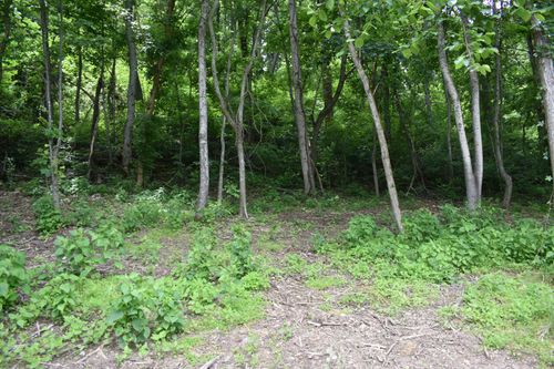 0 Turkey Creek Hwy, Carthage, TN, 37030 | Card Image