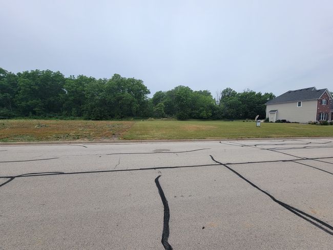 1009 Secretariat Dr, Home with 0 bedrooms, 0 bathrooms and null parking in GENOA IL | Image 6