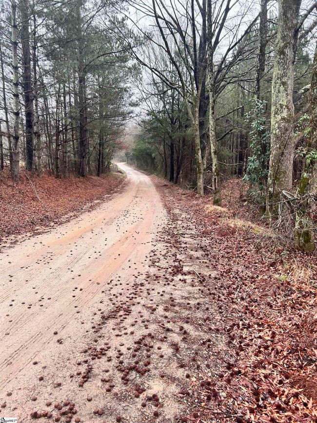 00 Columbia Rd, Home with 0 bedrooms, 0 bathrooms and null parking in Edgefield SC | Image 6