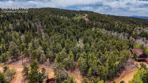 259 Potlatch Trail, Woodland Park, CO, 80863 | Card Image