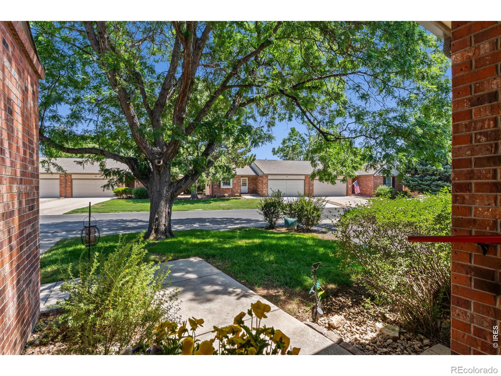 Residential in Fort Collins 5