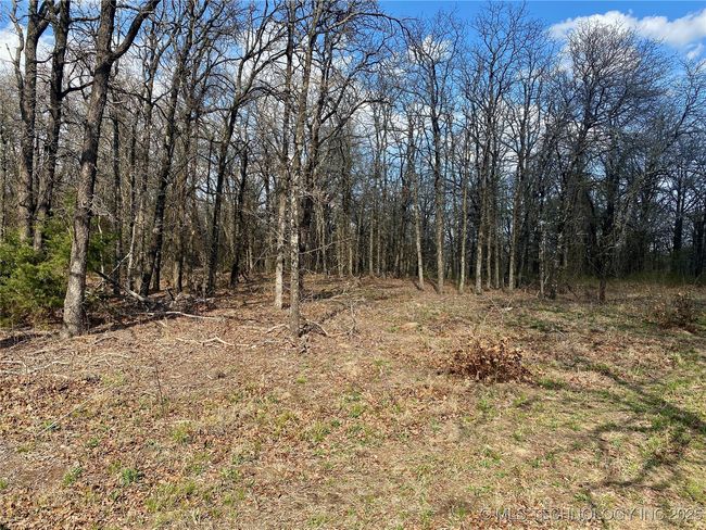 2 State Highway 76, Home with 0 bedrooms, 0 bathrooms and null parking in Wilson OK | Image 17