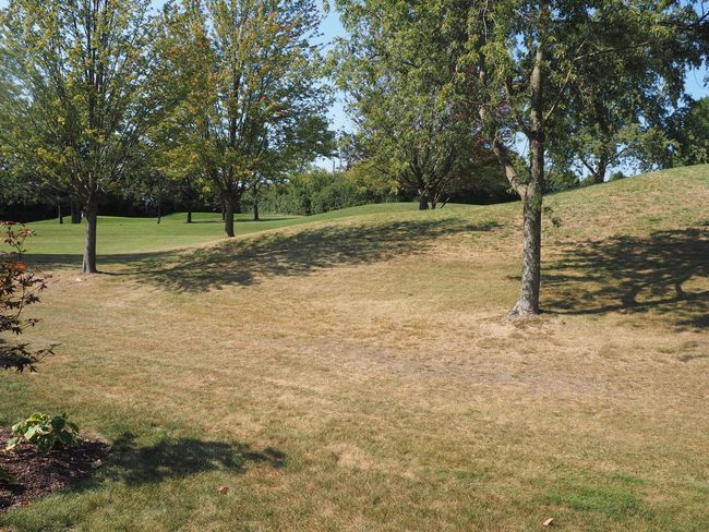 10666 Golf Rd, Townhouse with 3 bedrooms, 3 bathrooms and 2 parking in Orland Park IL | Image 25