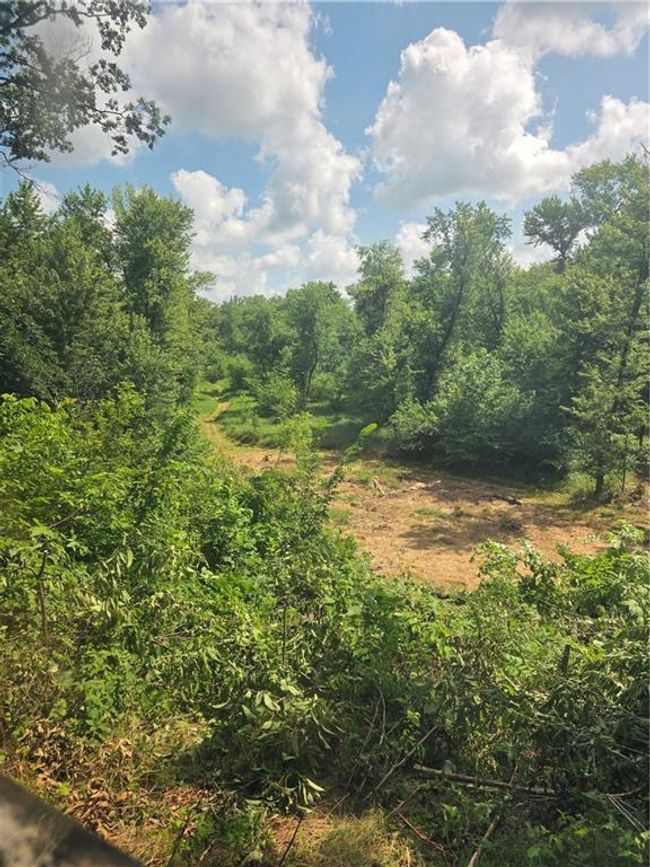 View FROM DEER STAND ON THE BLUFF | Image 45