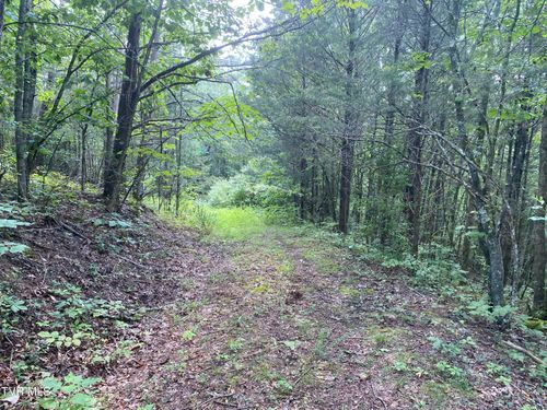 0 Sinks (103 Acres) Road, Blackwater, VA, 24221 | Card Image