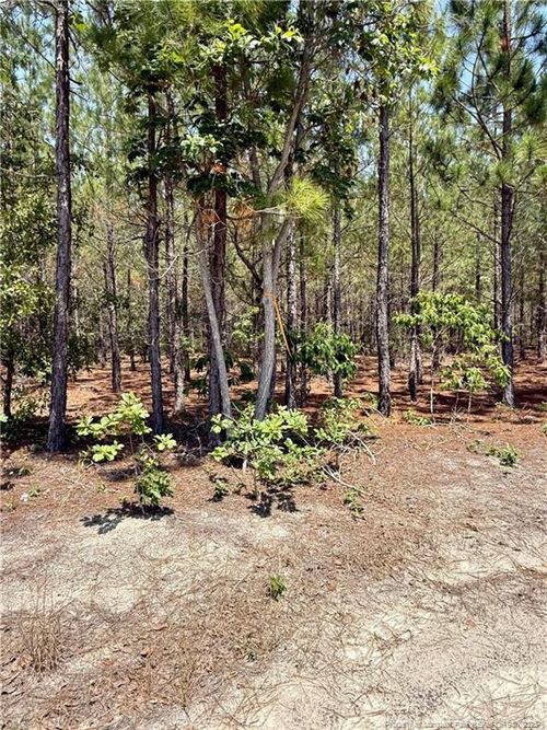2 Turnpike Rd, Wagram, NC, 28396 | Card Image