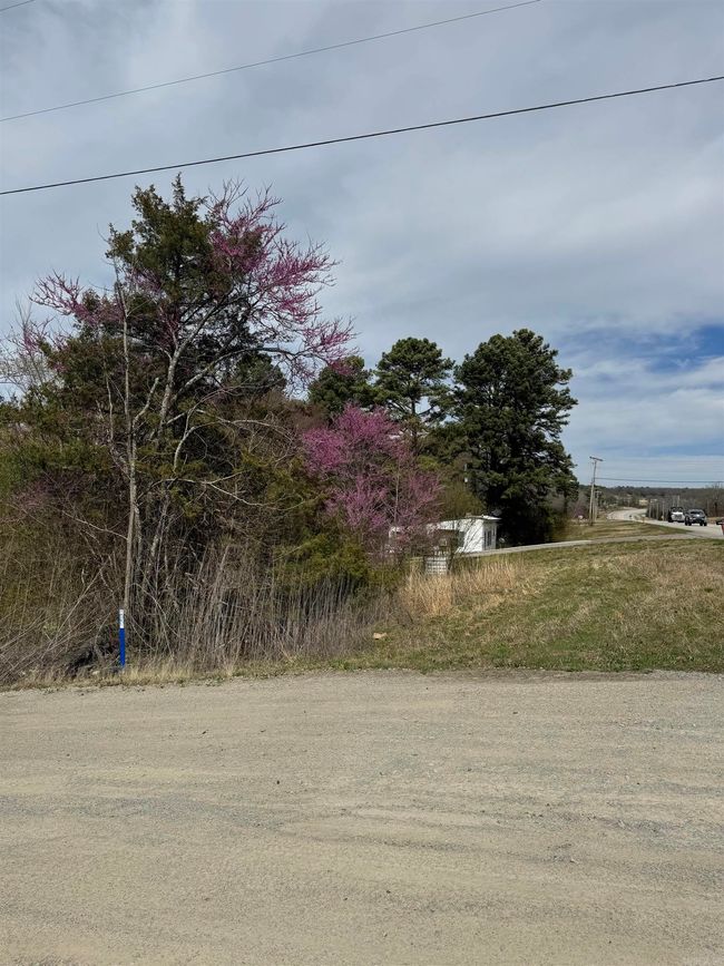 100 Highway 167 N, Home with 0 bedrooms, 0 bathrooms and null parking in Bald Knob AR | Image 7