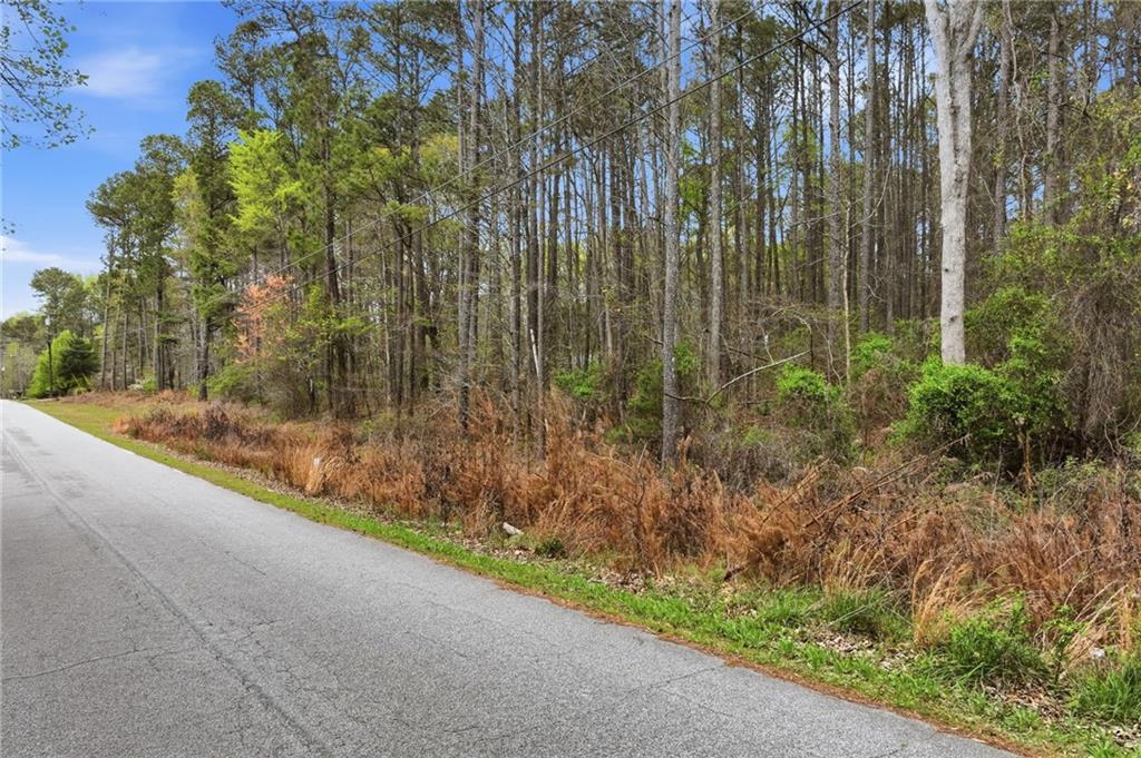 Land in Conyers 3