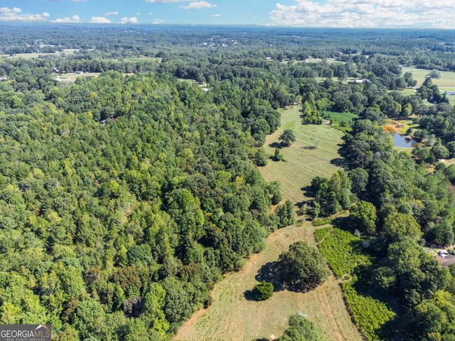 3669 Old State Rd, Home with 0 bedrooms, 0 bathrooms and null parking in Talmo GA | Image 8