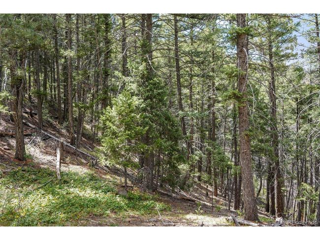 15947 S Perry Park Rd, House other with 3 bedrooms, 1 bathrooms and null parking in Palmer Lake CO | Image 8