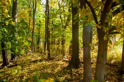 11-6862 N Nature Ln, La Porte, IN, 46350-7124 | Card Image