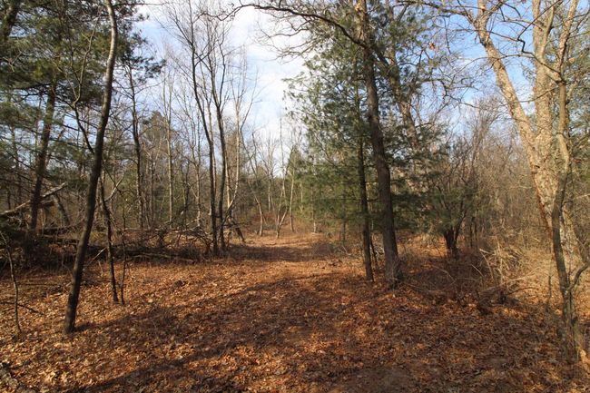 7750 Pine Rd, House other with 3 bedrooms, 2 bathrooms and null parking in ARENA WI | Image 63