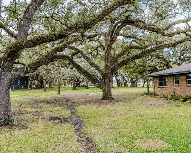 4311 Cr 417 Hoffman Rd, House other with 4 bedrooms, 2 bathrooms and 2 parking in Markham TX | Image 39