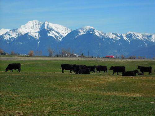 NHN 3rd Ave E, Charlo, MT, 59824 | Card Image