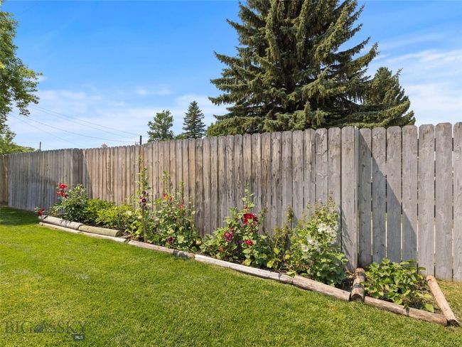 Privacy Fencing | Image 41