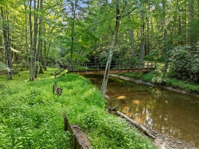 1071 Lodge Dr, Home with 4 bedrooms, 2 bathrooms and null parking in Bastian VA | Image 61
