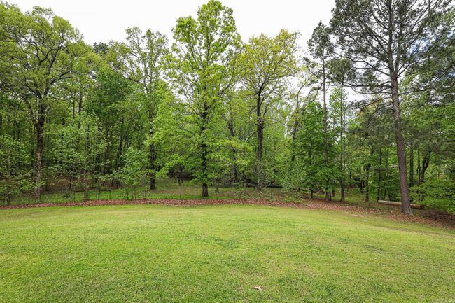 7966 Severn Landing Rd, House other with 4 bedrooms, 2 bathrooms and null parking in Alexander AR | Image 47