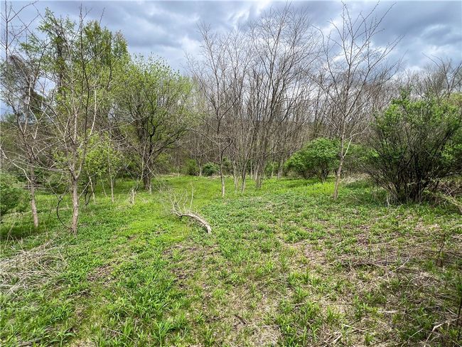 0 Short Rd, Home with 0 bedrooms, 0 bathrooms and null parking in Spencer NY | Image 9