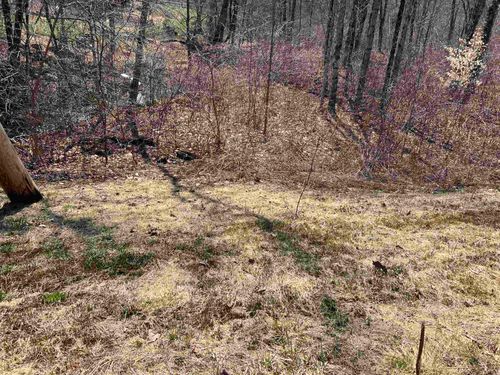 20 Lake Shore Drive, Winchester, NH, 03470 | Card Image