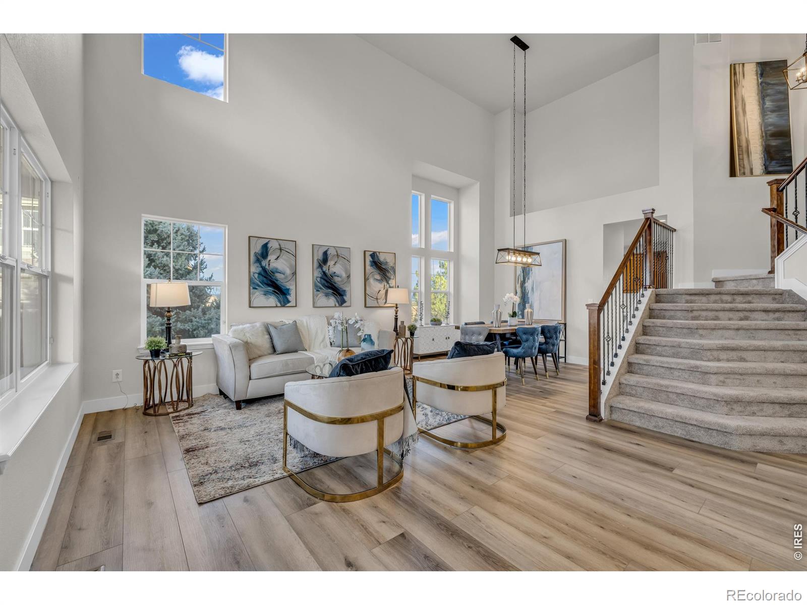 Residential in Castle Rock 4