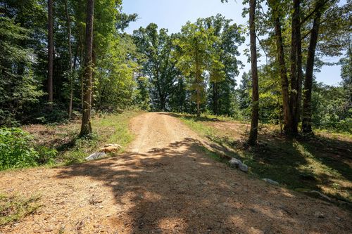14.34 Ac Church St, Valley Head, AL, 35989 | Card Image