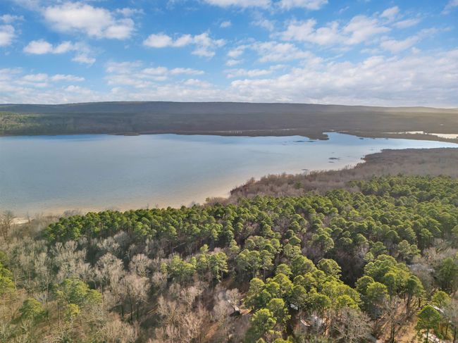 10576 Carter Cove Rd, House other with 2 bedrooms, 2 bathrooms and null parking in Plainview AR | Image 46
